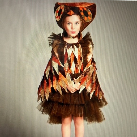 Chasing Fireflies Wishcraft owl costume - Picture 1 of 7